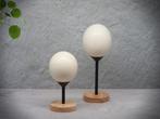 Authentique ensemble d'œufs d'autruche décoratifs, Envoi, Neuf