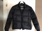Veste Tommy Hilfiger homme L NOUVEAU!, Enlèvement ou Envoi, Neuf, Taille 52/54 (L)