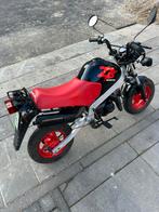 Orginele Honda monkey zb50 (zb 50, dax, zb50, honda 50), Fietsen en Brommers, Ophalen, Gebruikt, Overige modellen, Klasse B (45 km/u)
