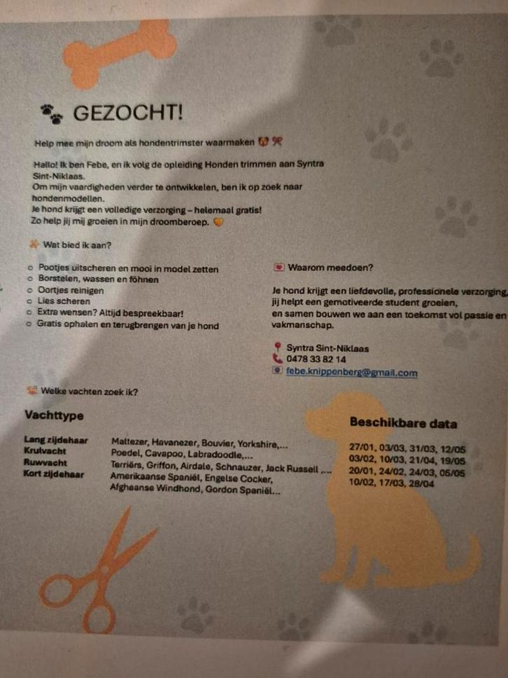 Hondmodellen, Diensten en Vakmensen, Dieren | Honden | Verzorging, Oppas en Les