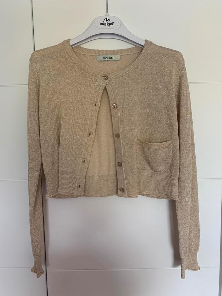 Blue Bay goudkleurige gilet (communie) maat 140 Nieuw, Kinderen en Baby's, Kinderkleding | Maat 140, Nieuw, Meisje, Trui of Vest