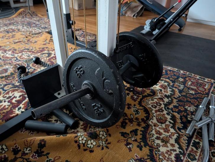 +- 250 kg gietijzeren halterschijf voor krachttraining, Sport en Fitness, Fitnessapparatuur, Gebruikt, Ophalen