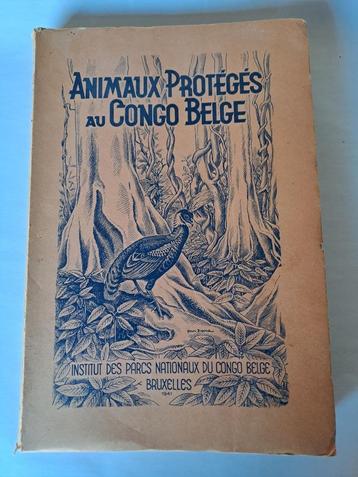 Animaux Proteges au Congo Belge beschikbaar voor biedingen