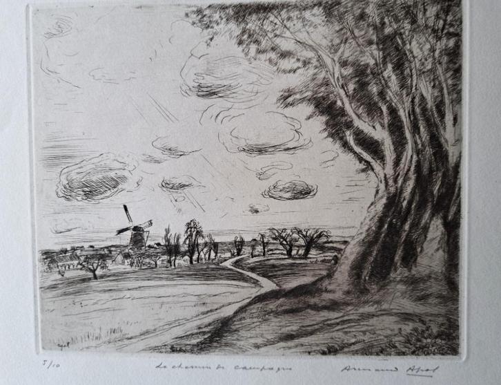 Armand Apol 1879-1950 prachtige grote ets 5/10, Antiek en Kunst, Kunst | Etsen en Gravures, Ophalen of Verzenden