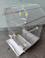 Cage pour perroquets Ruby, Enlèvement ou Envoi, Métal, Neuf, Cage à oiseaux