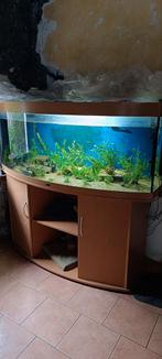 Aquarium 500L, Dieren en Toebehoren, Vissen | Aquaria en Toebehoren, Ophalen, Gebruikt