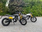 Fantic Caballero 500 Promo, Motos, Naked bike, 12 à 35 kW, 2 cylindres, Fantic