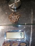 muskoviet muscoviet dolomiet Oostenrijk 9 gram, Ophalen of Verzenden