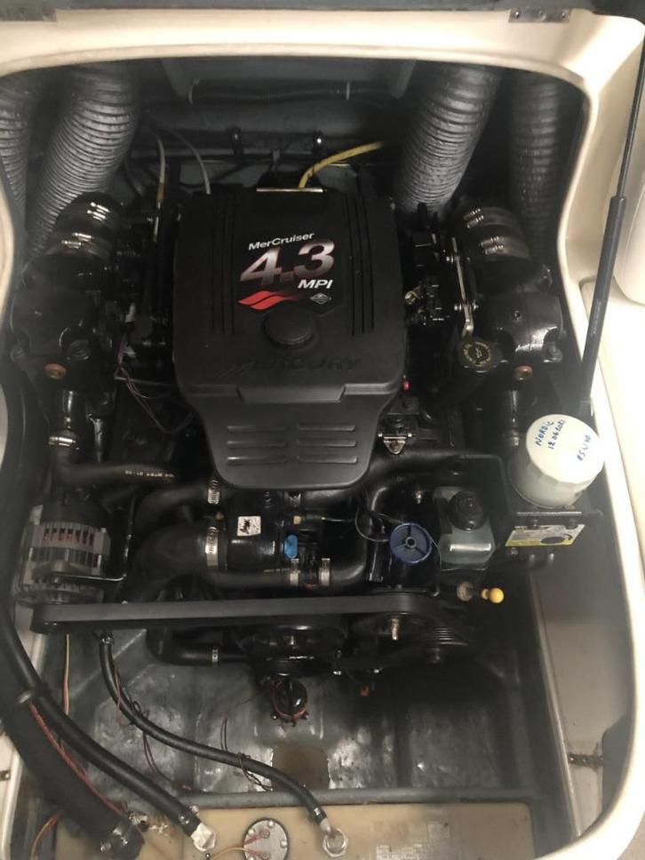 Bayliner 205, Watersport en Boten, Speedboten, Gebruikt, 6 meter of meer, Benzine, 200 pk of meer, Polyester, Binnenboordmotor