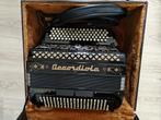 Accordiola Super P.W. D01 004, Ophalen, Knopaccordeon, Met riemen, Accordiola