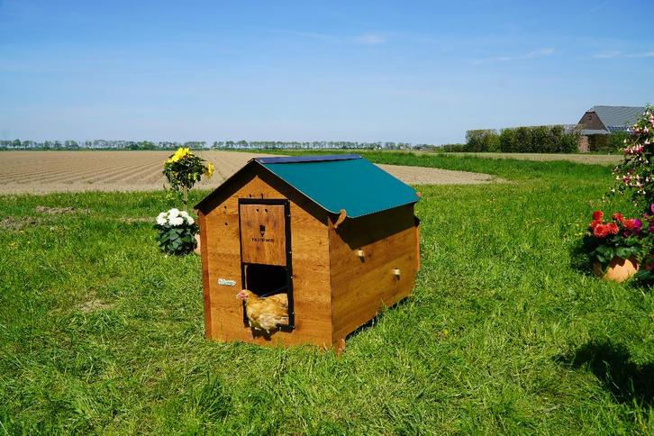 Trespa Kippenhok Cucciolotta Classic XL | Grondmodel, Animaux & Accessoires, Volatiles | Accessoires, Neuf, Poulailler, Enlèvement ou Envoi