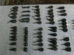 118 karperkorrels of andere perziken., Ophalen, Zo goed als nieuw, Dobber of Lood