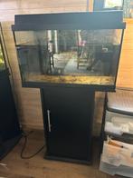 All in one Aquarium 100L 100€ vandaag ophalen, Dieren en Toebehoren, Ophalen, Zo goed als nieuw