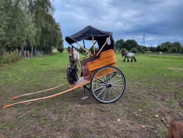 Koets/rijtuig/Dokterskoets beschikbaar voor biedingen