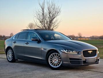 Jaguar XE E-Performance 03/2016 Eu6 2.0 Diesel 163 PK Pano beschikbaar voor biedingen