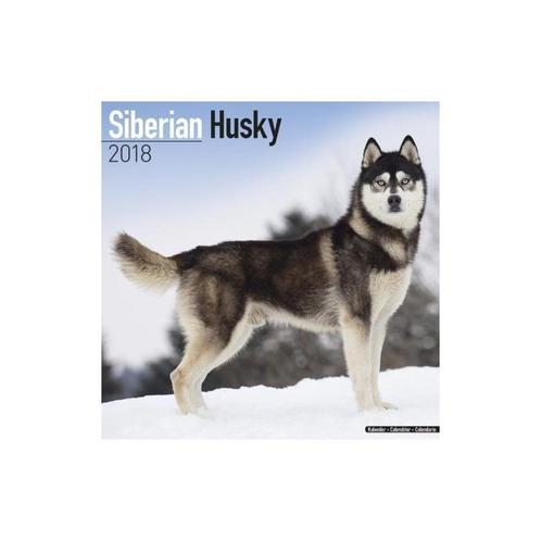 Siberische Husky-kalender 2018, Diversen, Kalenders, Nieuw, Jaarkalender, Ophalen of Verzenden
