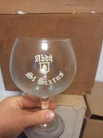 St Sixtus glas, Verzamelen, Ophalen of Verzenden, Zo goed als nieuw, Glas of Glazen, Overige merken