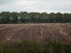 Gezocht - landbouwgrond Gent/mariakerke/wondelgem, Ophalen, 1 tot 5 ha, Tuinbouwbedrijf