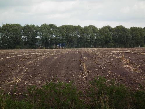 Gezocht - landbouwgrond Gent/mariakerke/wondelgem, Zakelijke goederen, Landbouw | Onroerend goed, Tuinbouwbedrijf, 1 tot 5 ha