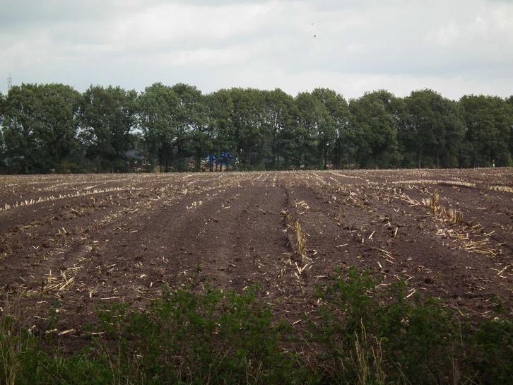 Gezocht - landbouwgrond Gent/mariakerke/wondelgem, Zakelijke goederen, Landbouw | Onroerend goed, Tuinbouwbedrijf, 1 tot 5 ha