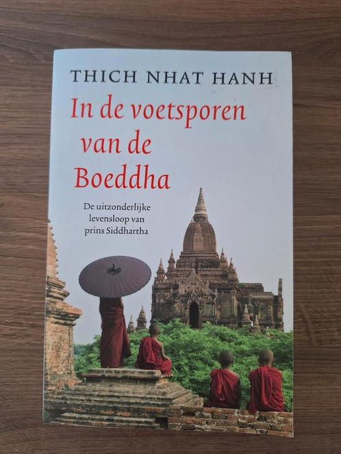 Thich Nhat Hahn - In de voetsporen van de Boeddha, Boeken, Godsdienst en Theologie, Zo goed als nieuw, Boeddhisme, Ophalen of Verzenden