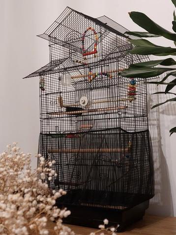 Vogelkooi beschikbaar voor biedingen
