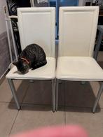Deux chaises en cuir blanc, champagne, Comme neuf, Deux, Enlèvement, Blanc