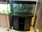 JUWEL Aquarium Vision 180 met onderkast zeer compleet, Ophalen, Gebruikt, Leeg aquarium