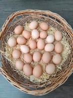 Verse eieren, Dieren en Toebehoren