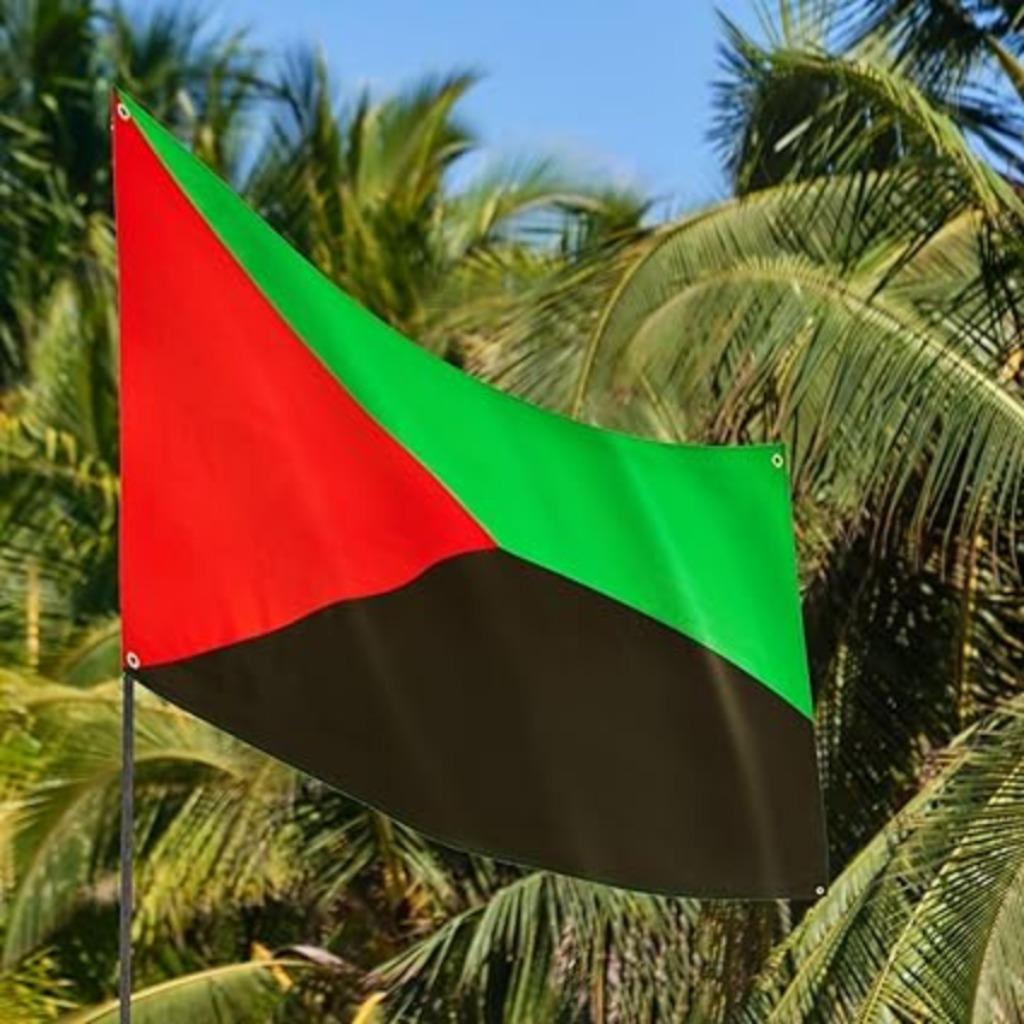 Drapeau de la Martinique | 91 x 152 cm | Nouveau, Neuf, -, -, Runesol