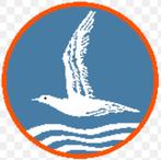 Gezocht! Jeugdstorm items, Verzamelen, Ophalen of Verzenden