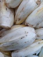 Grondwitloof, Ophalen