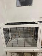 Vogelkooi, Dieren en Toebehoren, Ophalen, Nieuw, Vogelkooi