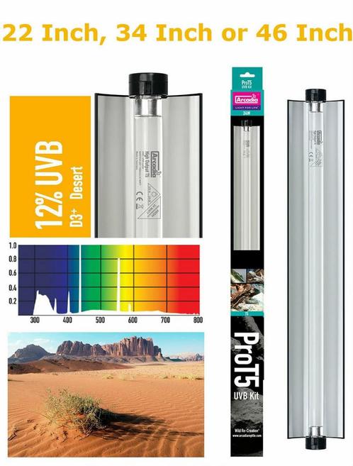 Nieuw Arcadia ProT5 Set Desert 12% Uvb 24W, Dieren en Toebehoren, Reptielen en Amfibieën | Toebehoren, Nieuw, Ophalen