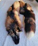 Cross fox vacht, Verzamelen, Ophalen of Verzenden, Zo goed als nieuw, Wild dier, Overige typen
