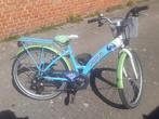 Meisjes fiets pappilion, Fietsen en Brommers, Fietsen | Meisjes, Ophalen, Zo goed als nieuw