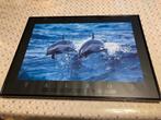 Kader 2 dolfijnen Talbot, Huis en Inrichting, Woonaccessoires | Lijsten, Ophalen, Kunststof, Gebruikt, Minder dan 50 cm