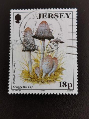 Jersey 1994 - champignons