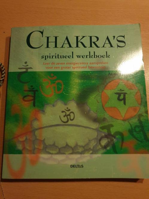Anna Voigt - Chakra's SPIRITUEEL WERKBOEK, Boeken, Esoterie en Spiritualiteit, Zo goed als nieuw, Ophalen of Verzenden