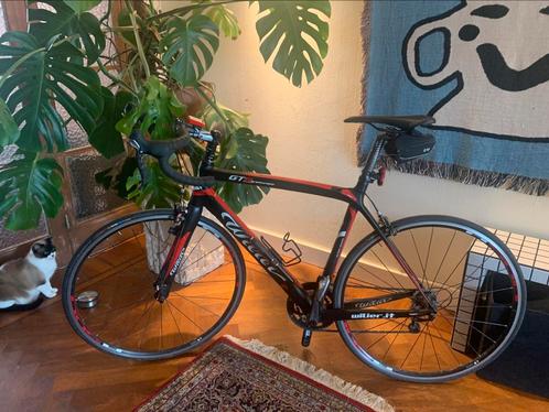 Wilier Triestina, Fietsen en Brommers, Fietsen | Racefietsen, Gebruikt, Heren, Overige merken, Carbon, Ophalen