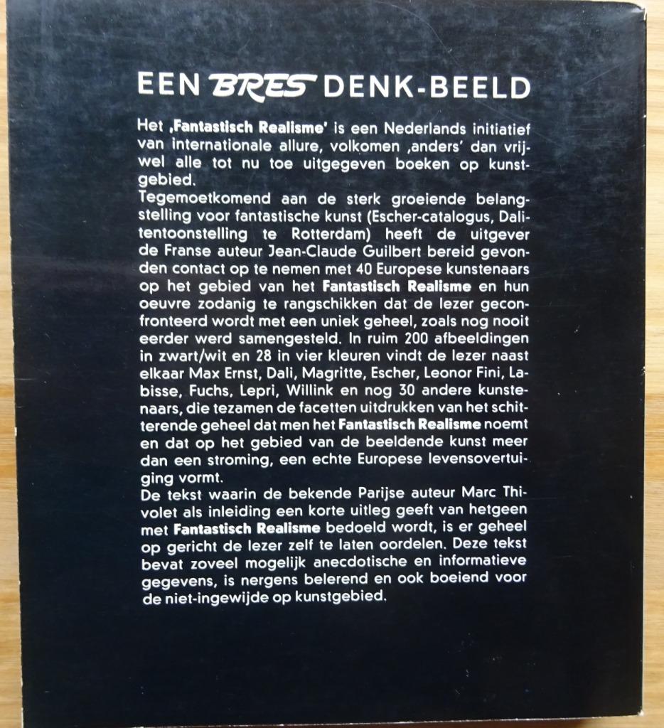 Het fantastisch realisme, 40 schilders van de verbeelding,, Ophalen of Verzenden, Gelezen, Schilder- en Tekenkunst