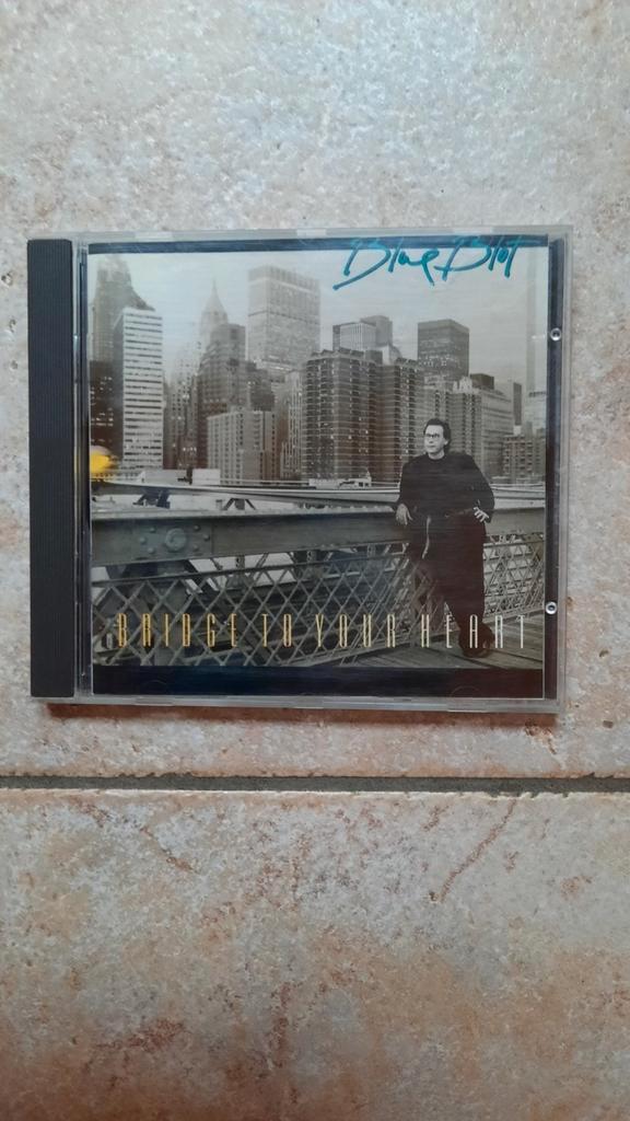 BLUE BLOT Bridge to your heart (cd, 1991, Blunk), Cd's en Dvd's, Cd's | Jazz en Blues, Zo goed als nieuw, Blues, 1980 tot heden