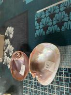 Schelpen, Verzamelen, Mineralen en Fossielen, Ophalen of Verzenden, Schelp(en)