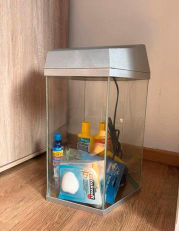 Aquarium met toebehoren (filter, producten & decoratie)! beschikbaar voor biedingen