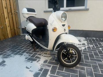 Electrische scooter chaoya beschikbaar voor biedingen