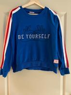 Blauwe trui Stien Edlund maat M, Kleding | Dames, Blauw, Ophalen of Verzenden, Zo goed als nieuw, Maat 38/40 (M)