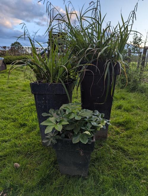 Set van 3 zinken bloembakken, Tuin en Terras, Bloembakken en Plantenbakken, Gebruikt, Metaal, Balkon, Tuin, 60 cm of meer, Minder dan 60 cm