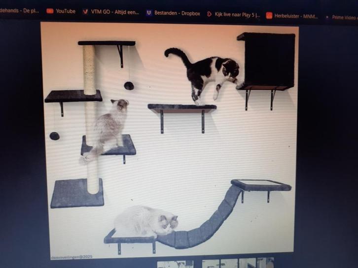 krabpaal en klimwand voor katten xxl NIEUW, Dieren en Toebehoren, Krabmeubelen, Nieuw, Krabpaal, Ophalen of Verzenden