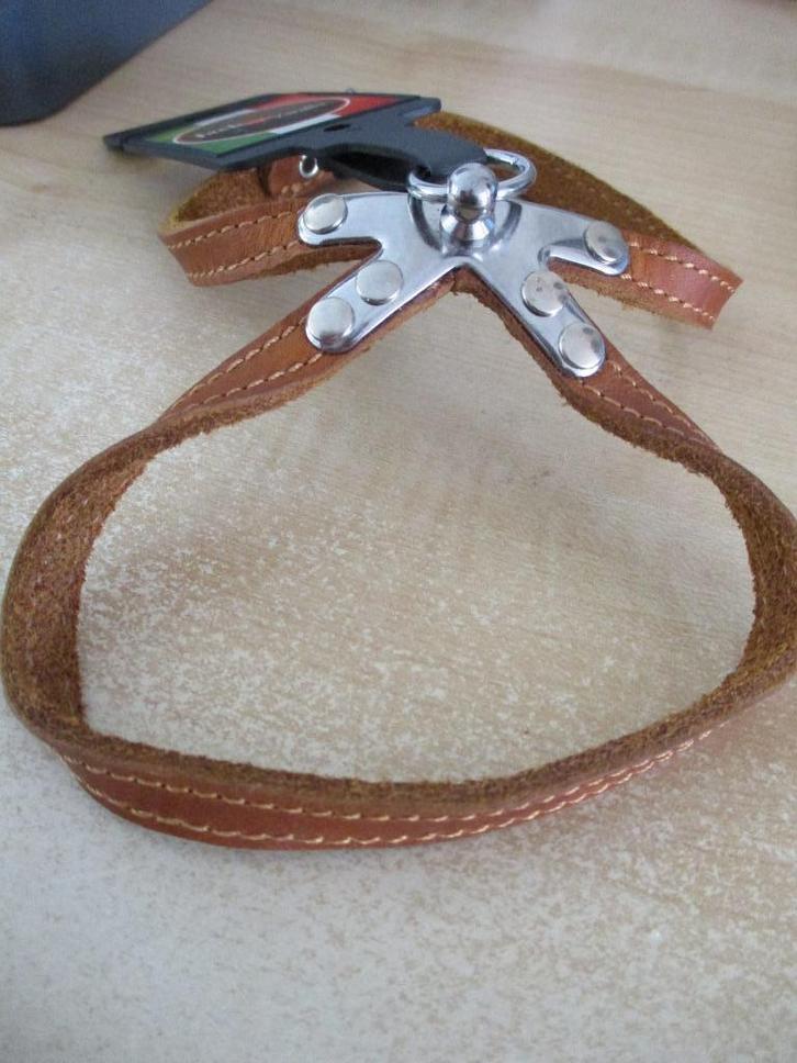 hondentuigje, Dieren en Toebehoren, Overige Dieren-accessoires, Nieuw, Ophalen of Verzenden
