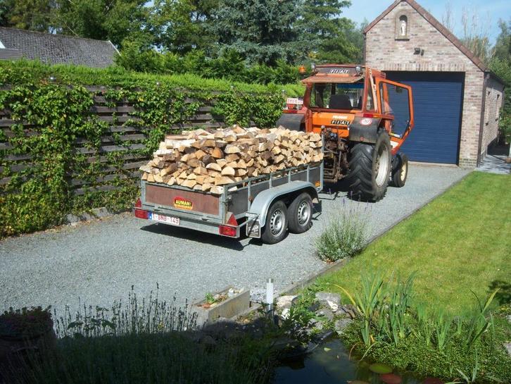 brandhout, Tuin en Terras, Brandhout, Ophalen of Verzenden